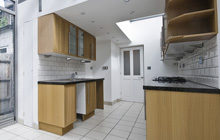 Dorstone kitchen extension leads
